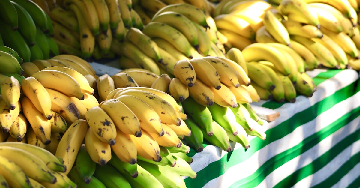 découvrez les stratégies essentielles pour l'adaptation au marché, afin d'optimiser vos performances et de rester compétitif dans un environnement en constante évolution.